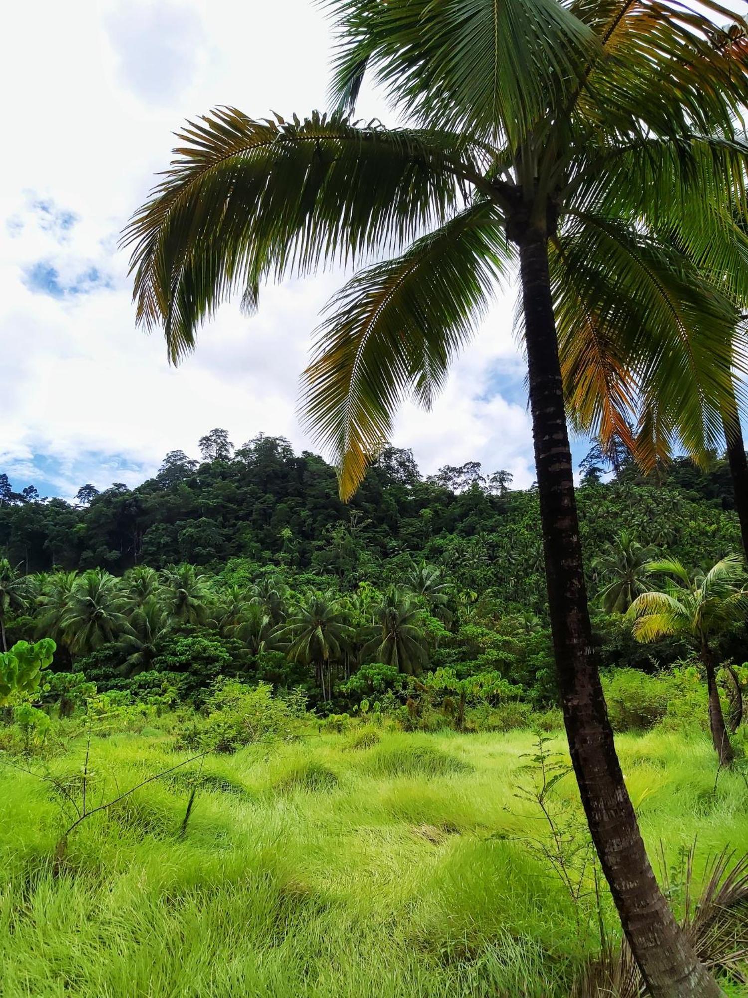 Nancowry Resort Govind Nagar エクステリア 写真