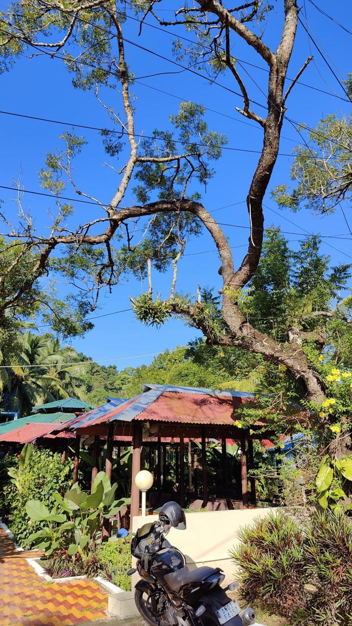 Nancowry Resort Govind Nagar エクステリア 写真